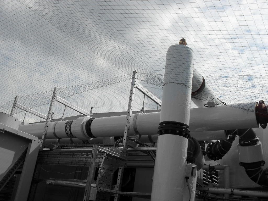 Bird Control in Liverpool, North West